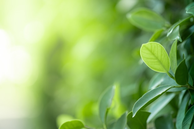 推荐十款“微信小程序天天爱掼蛋其实是有挂的”（详细透视教程）-哔哩哔哩
